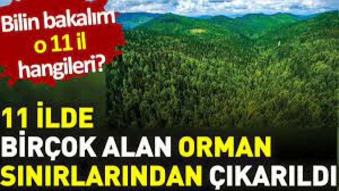 11 İlde birçok alan orman sınırlarından çıkarıldı. Bilin bakalım o 11 il hangileri?