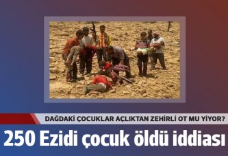 250 Ezidi çocuk açlıktan yediği zehirli otla öldü iddiası