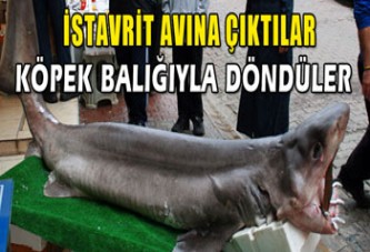 400 kiloluk köpek balığı yakalandı