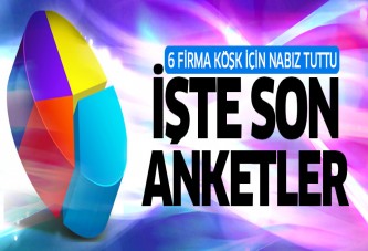 6 şirketin Cumhurbaşkanı seçimi anket sonucu