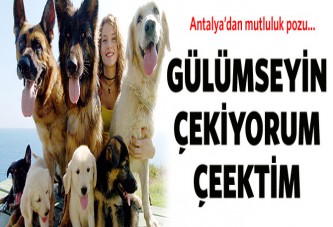 74 köpek, 49 kedi ev arıyor!