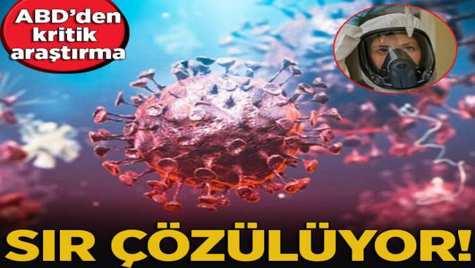 ABDden çarpıcı araştırma! Virüsün gizemi çözülüyor...