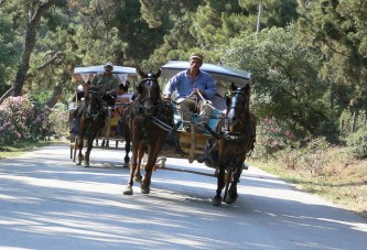 “Adalarda Turizm Geliştirme Merkezi Projesi”