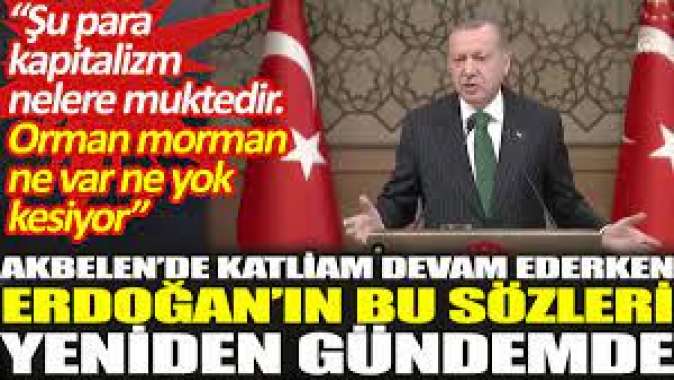 Akbelen’de katliam devam ederken Erdoğan’ın bu sözleri yeniden gündemde