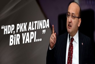 Akdoğan: Keşke HDP vesayetten kurtulabilseydi