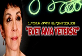 Alevi açılımı evet ama yetersiz