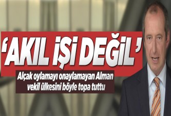 Alman vekilden alçak oylamaya tepki..