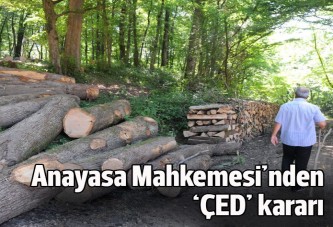 Anayasa Mahkemesi'nden ÇED kararı