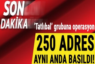 Ankara'da büyük DEAŞ operasyonu! 250 adres aynı anda basıldı