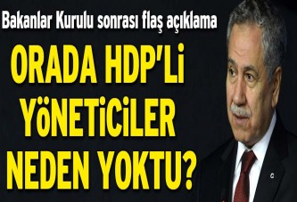 Arınç: Elde silah çözüm süreci yürümez