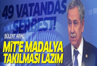 Arınç: MİT'e madalya takılması lazım