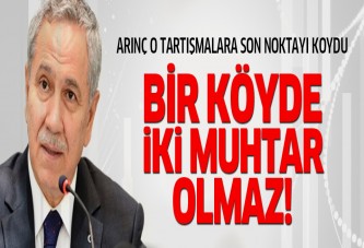 Arınç'tan Eşbaşkanlık açıklaması