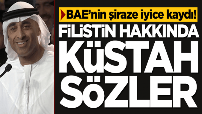 BAEli isimden akılalmaz Filistin açıklaması