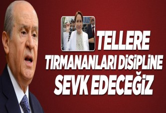 Bahçeli: Hepsi disipline sevk edilecek..