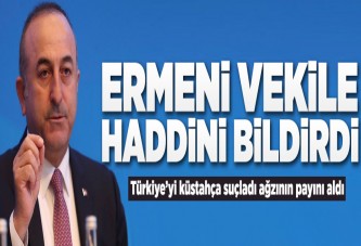 Bakan Çavuşoğlu Ermeni vekile haddini bildirdi.