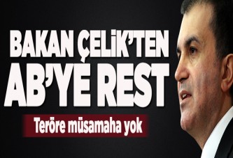 Bakan Çelik'ten AB'ye rest.