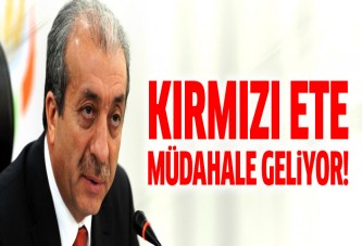 Bakan Eker açıkladı! Kırmızı ete müdahale geliyor