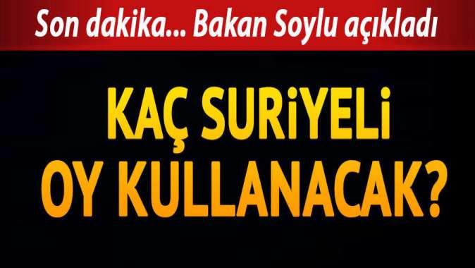 Bakan Soylu oy kullanacak Suriyelilerin sayısını açıkladı