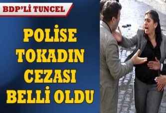 BDP'li Tuncel'in tokat cezası belli oldu