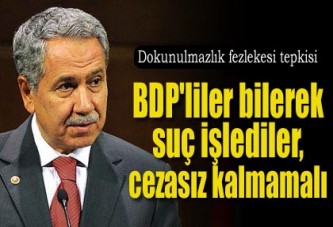 'BDP'liler bilerek suç işlediler, cezasız kalmamalı'