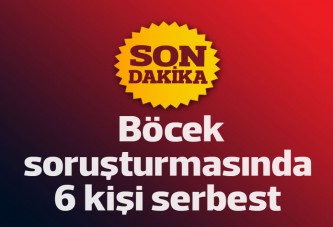 Böcek soruşturmasında 6 kişi serbest bırakıldı