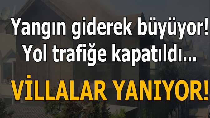 Bursada korkutan orman yangını! Giderek büyüyor...