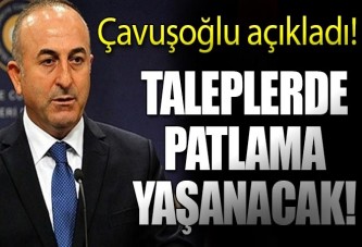 Çavuşoğlu: Avrupa'dan gelen taleplerde patlama olacak!