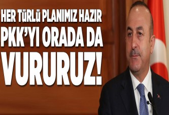 Çavuşoğlu: PKK'yı orada da vururuz.