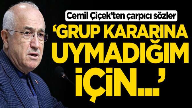 Cemil Çiçekten çarpıcı sözler: Grup kararına uymadığım için...