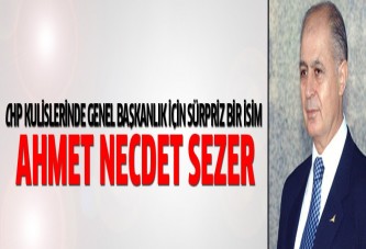 CHP'de Ahmet Necdet Sezer sürprizi