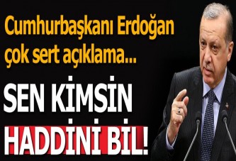 Cumhurbaşkanı Erdoğan'dan Alman bakana: Haddini bil!