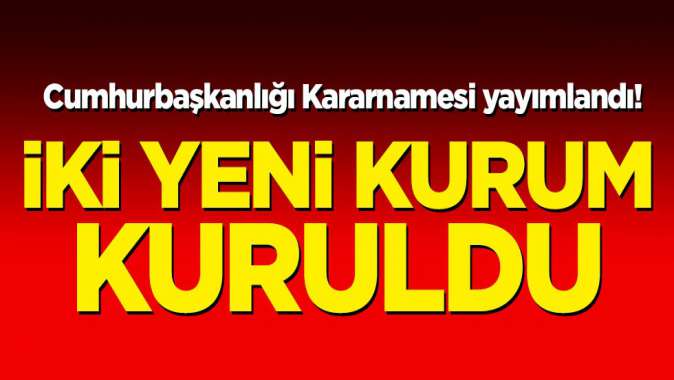 Cumhurbaşkanlığı Kararnamesi yayımlandı! İki yeni kurum kuruldu