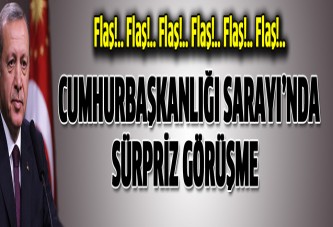 Cumhurbaşkanlığı Sarayı'nda sürpriz konuk