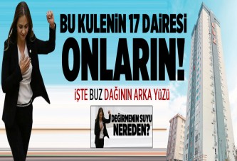 Değirmenin Suyu nereden.?