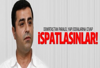 Demirtaş paralel yapı iddialarına cevap verdi