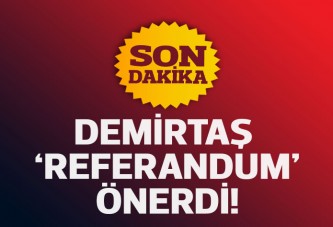 Demirtaş'tan referandum önerisi geldi!