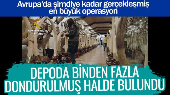 Depoda binden fazla dondurulmuş halde bulundu.