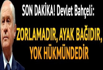 Devlet Bahçeli: 19 Haziran bizim için yok hükmündedir