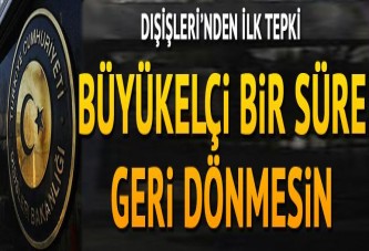 Dışişleri: Hollanda büyükelçisi bir müddet dönmesin