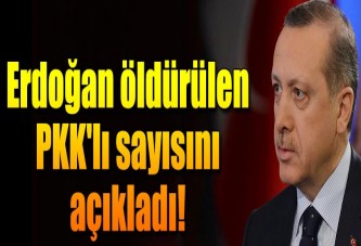 Erdoğan öldürülen PKK'lı sayısını açıkladı