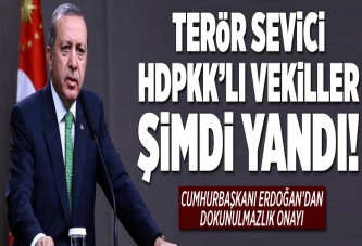 Erdoğan'dan dokunulmazlık onayı..