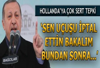 Erdoğan'dan Hollanda'ya sert tepki