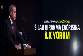 Erdoğan'dan silah bırakma çağrısına ilk yorum