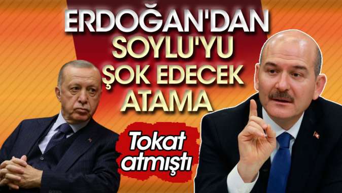 Erdoğandan Soyluyu şok edecek atama. Tokat atmıştı