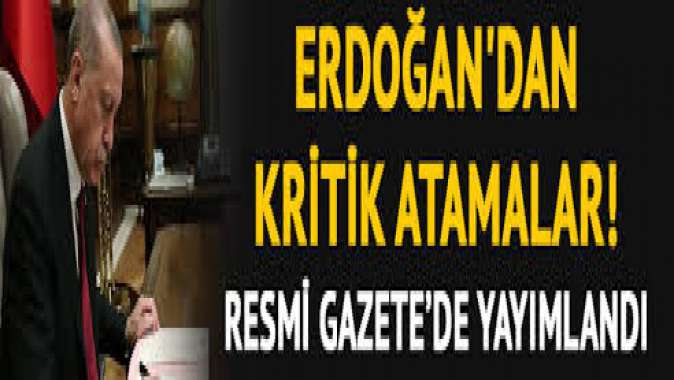 Erdoğandan yeni atama kararları! Resmi gazetede duyuruldu