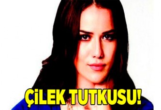 Fahriye'nin çilek tutkusu