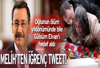 Gökçek’ten iğrenç tweetler!