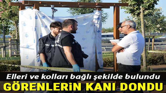 Görenlerin kanı dondu... Elleri ve kolları bağlı şekilde bulundu