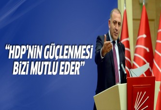 Gürsel Tekin: HDP'nin güçlenmesi bizi mutlu eder