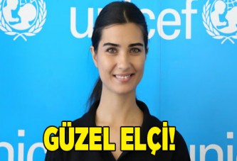 Güzel elçi